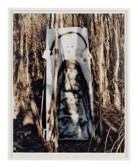 Untitled II (Everglades), A Triptych, 2003