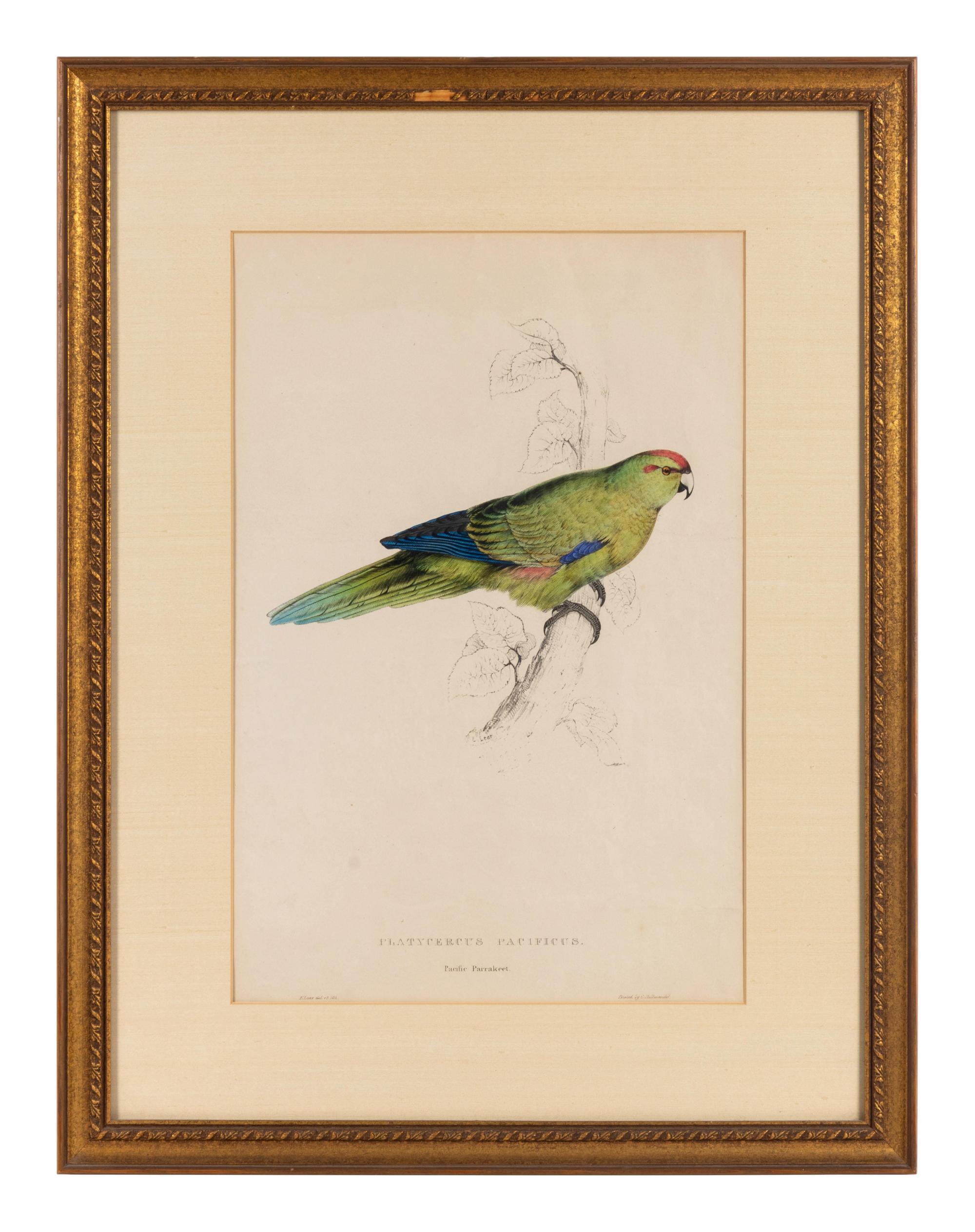 A Pair of Ornithological Prints