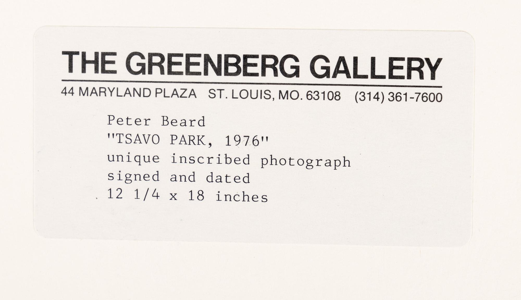 Tsavo Park (from "The End of the Game ), 1976-1977