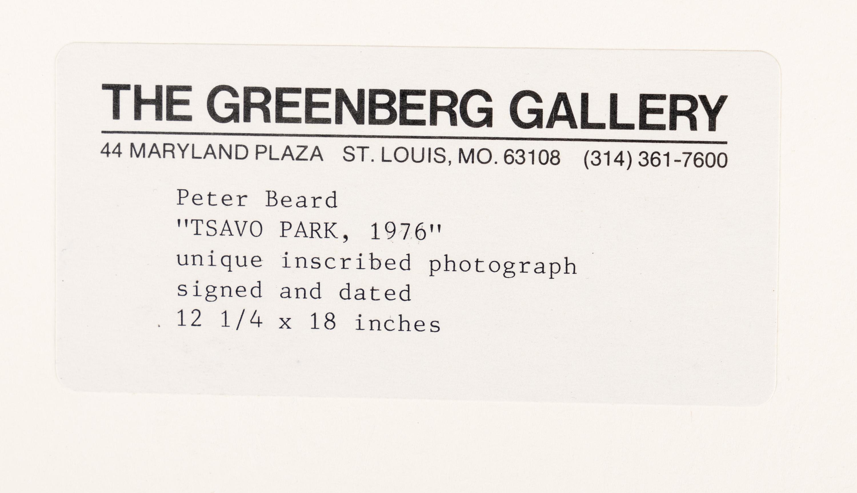 Tsavo Park (from "The End of the Game ), 1976-1977