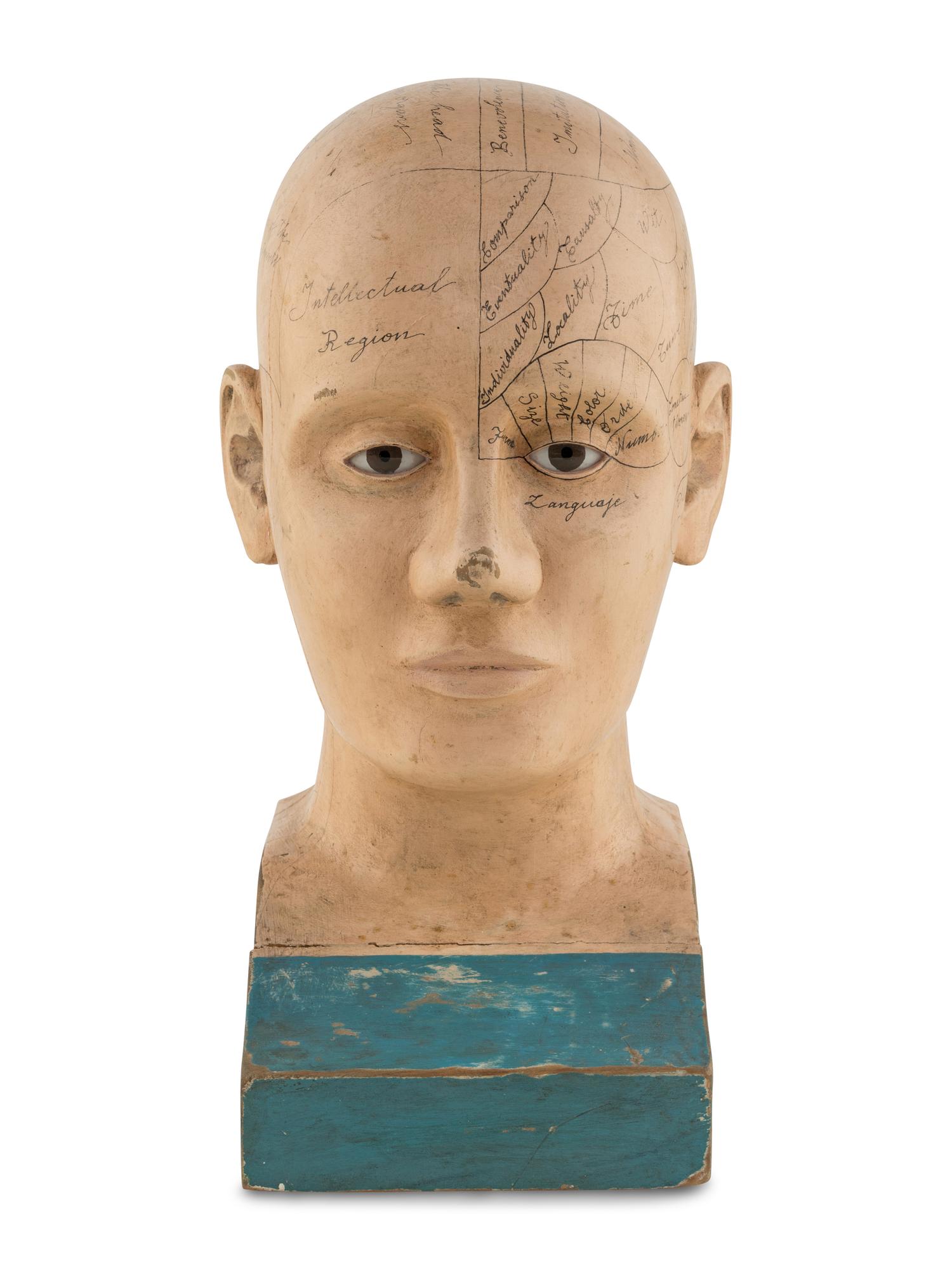 A Carved and Painted Wood Phrenology Head