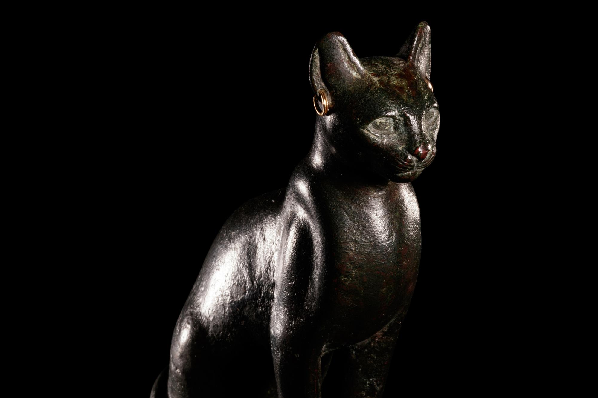 An Egyptian Bronze Cat
