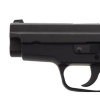 *Sig Sauer P229 with Bladetech Holster