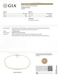 NATURAL PEARL NECKLACE