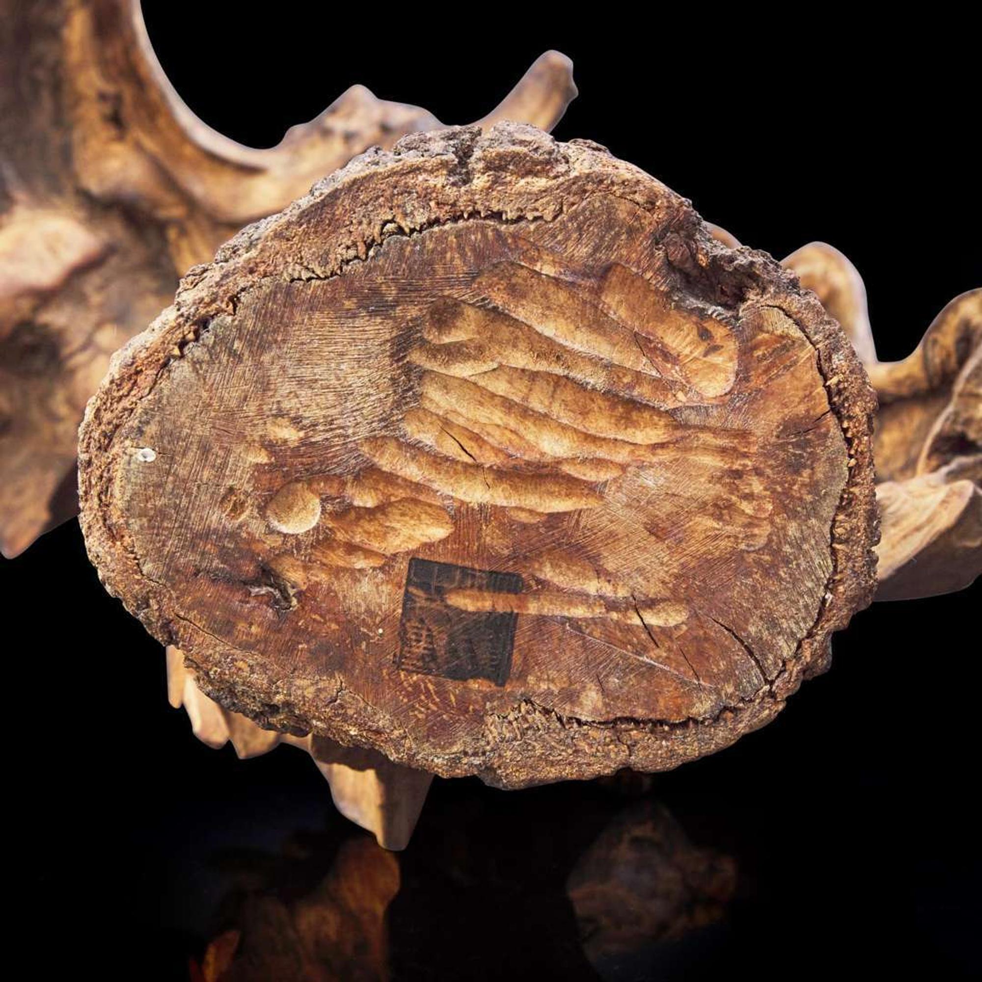 A rootwood "scholar’s stone" 隨形根雕一件