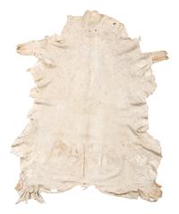 Pueblo Painted Antelope Hide