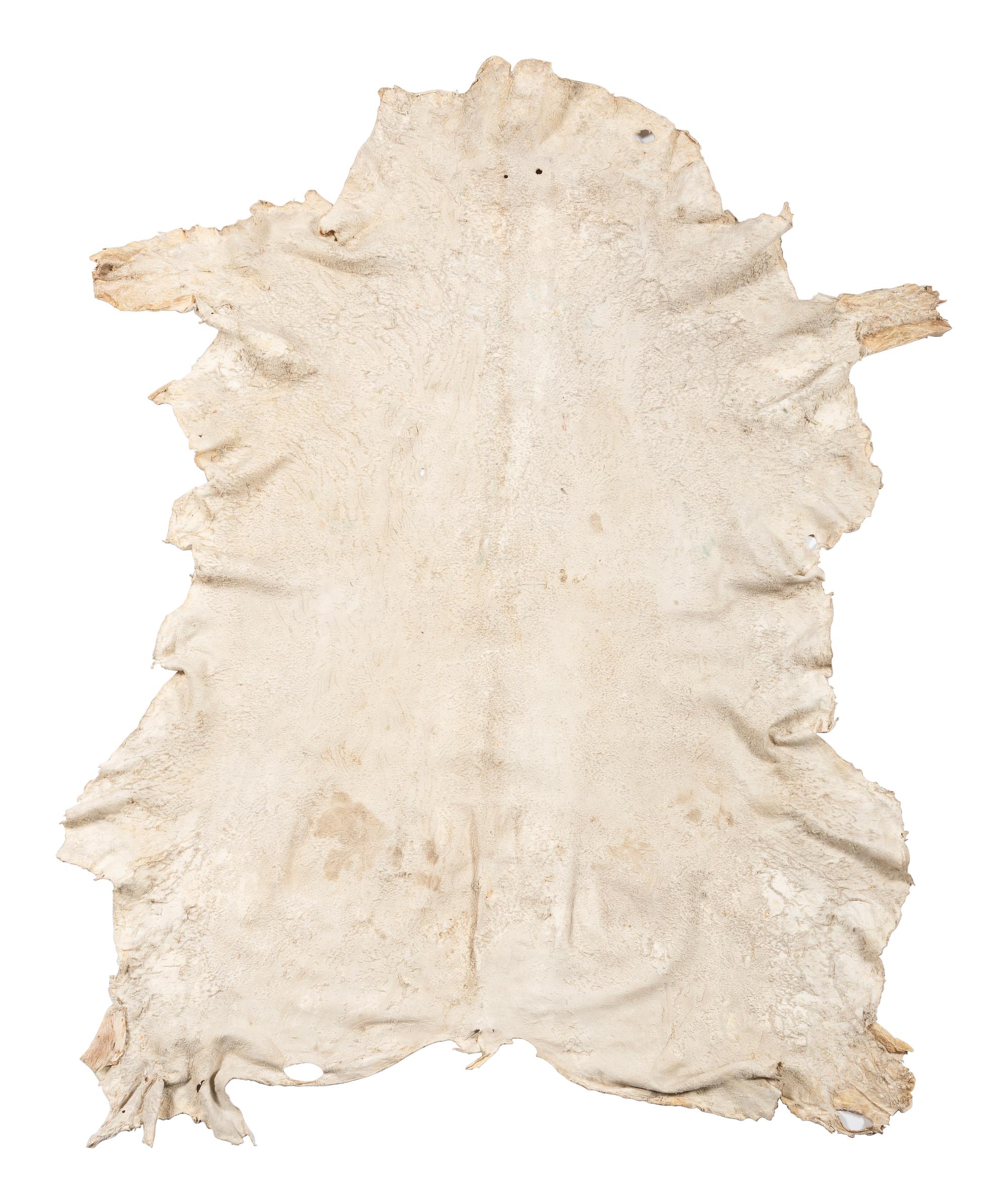 Pueblo Painted Antelope Hide