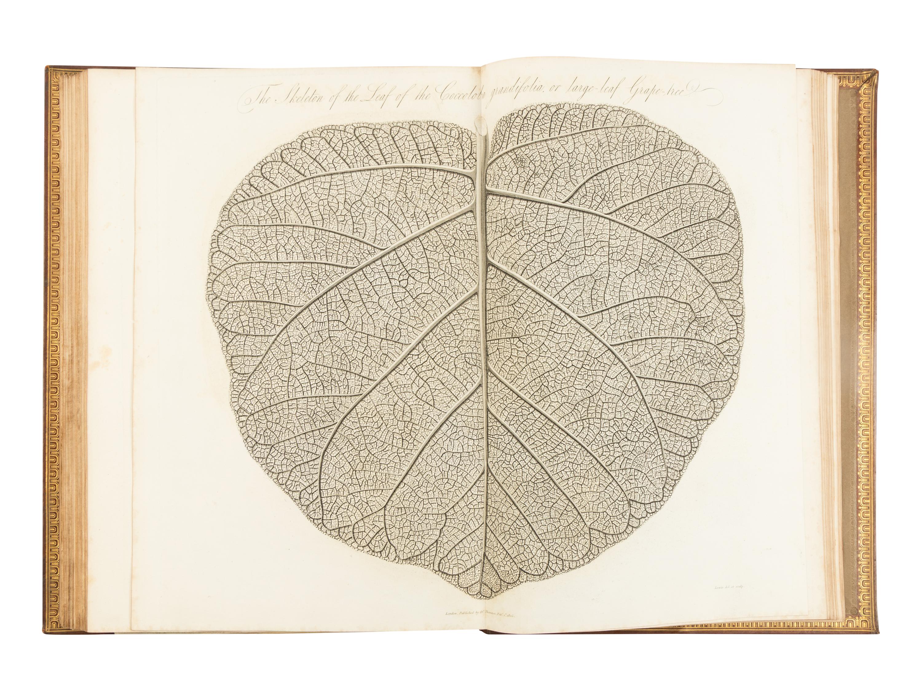 [NATURAL HISTORY]. THORNTON, Robert John (1768-1837). The Philosophy of Botany . London: T. Bensley for the publishers, White, Johnson and Co. ...and the author, [1799?]-1810.