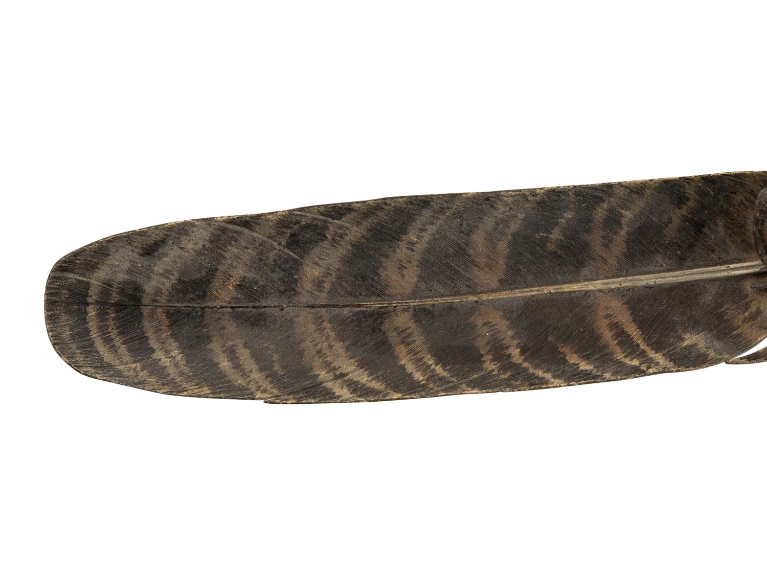 An Austrian Cold-Painted Bronze Figure of a Bird of Prey Perched on a Feather
