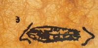 Negro sobre palla , 1992