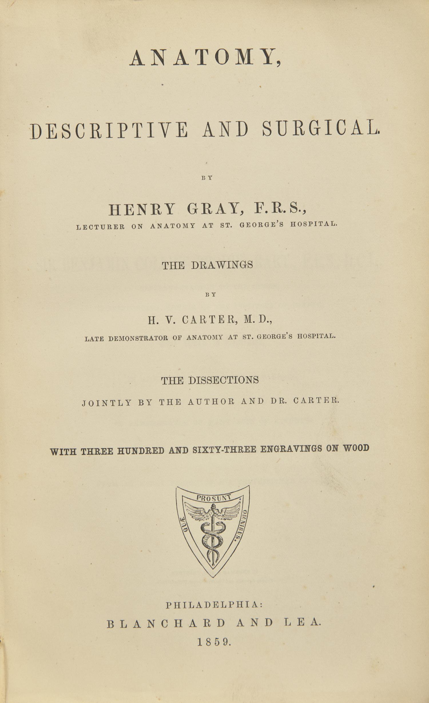 [Science, Medicine & Mathematics] Gray, Henry. Anatomy, Descriptive and Surgical