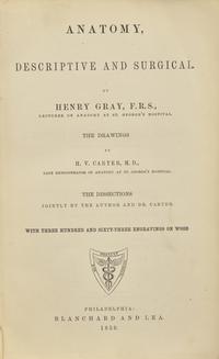 [Science, Medicine & Mathematics] Gray, Henry. Anatomy, Descriptive and Surgical