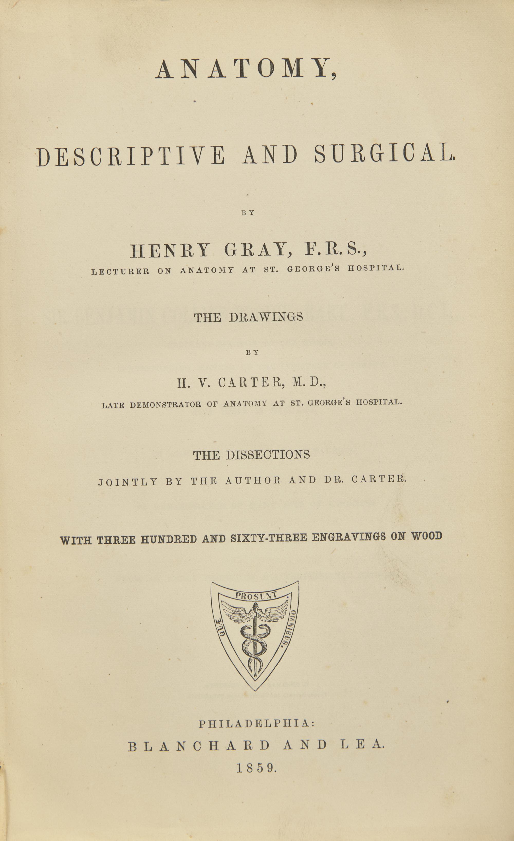[Science, Medicine & Mathematics] Gray, Henry. Anatomy, Descriptive and Surgical
