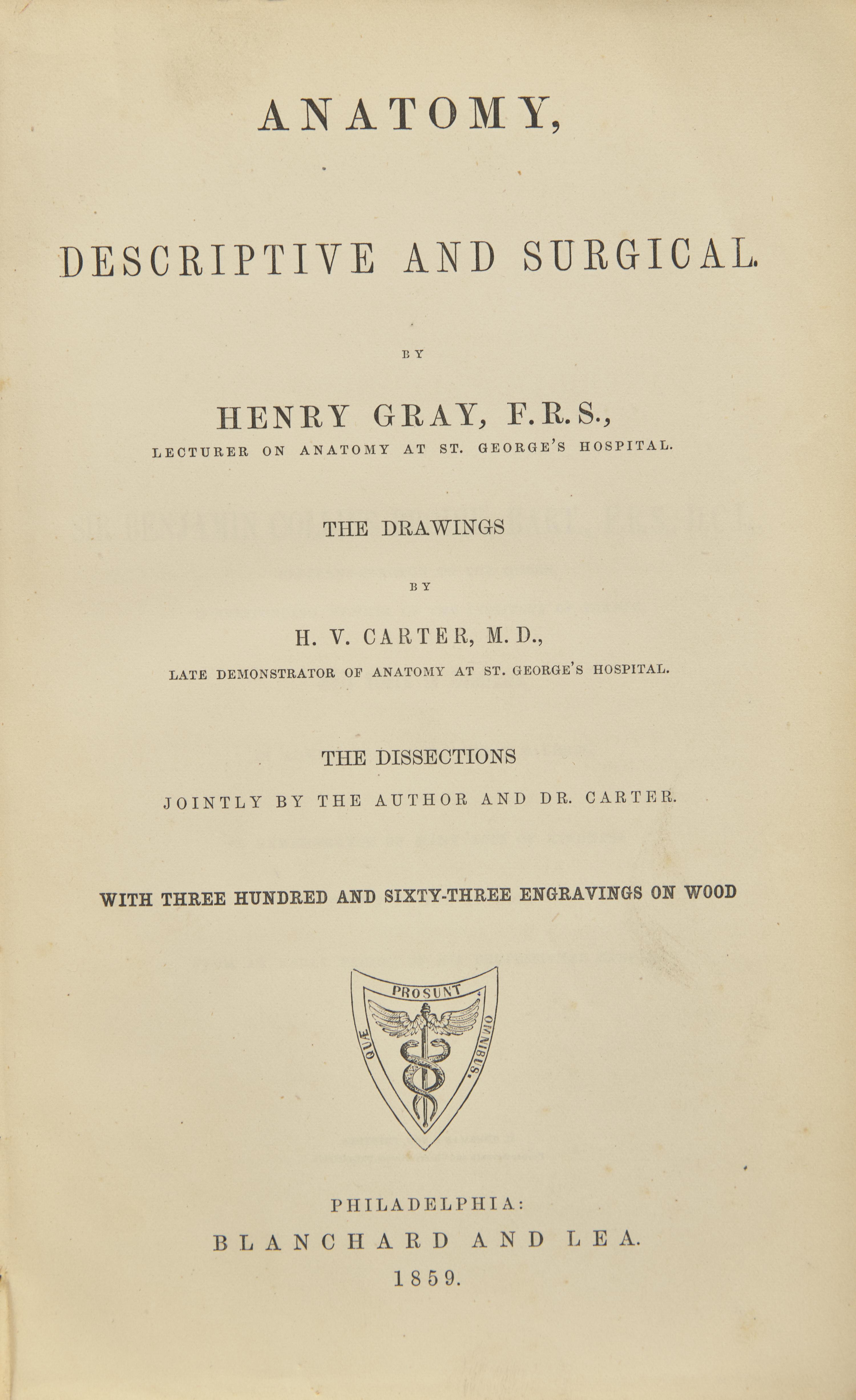 [Science, Medicine & Mathematics] Gray, Henry. Anatomy, Descriptive and Surgical