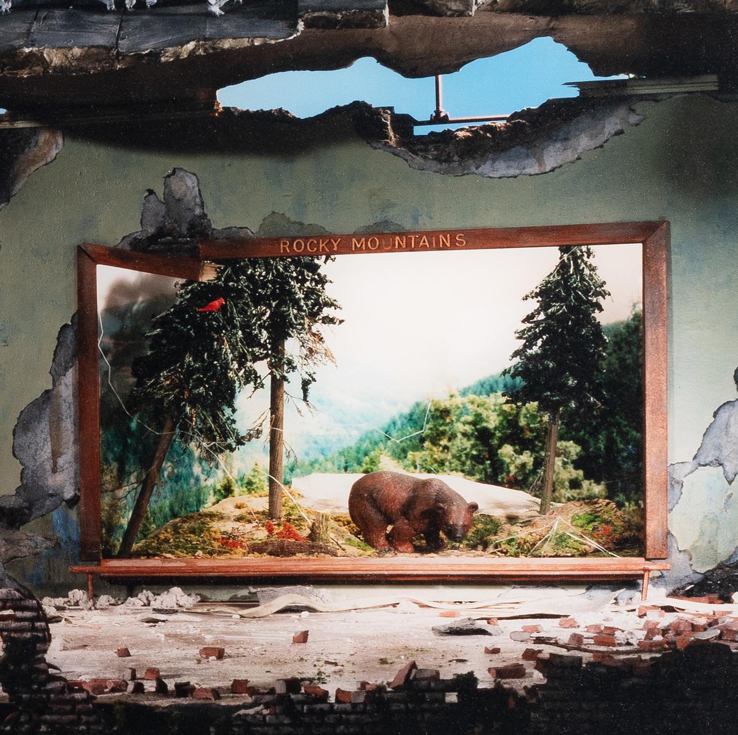 Natural History, 2005
