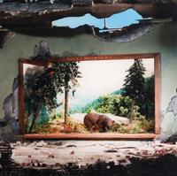 Natural History, 2005