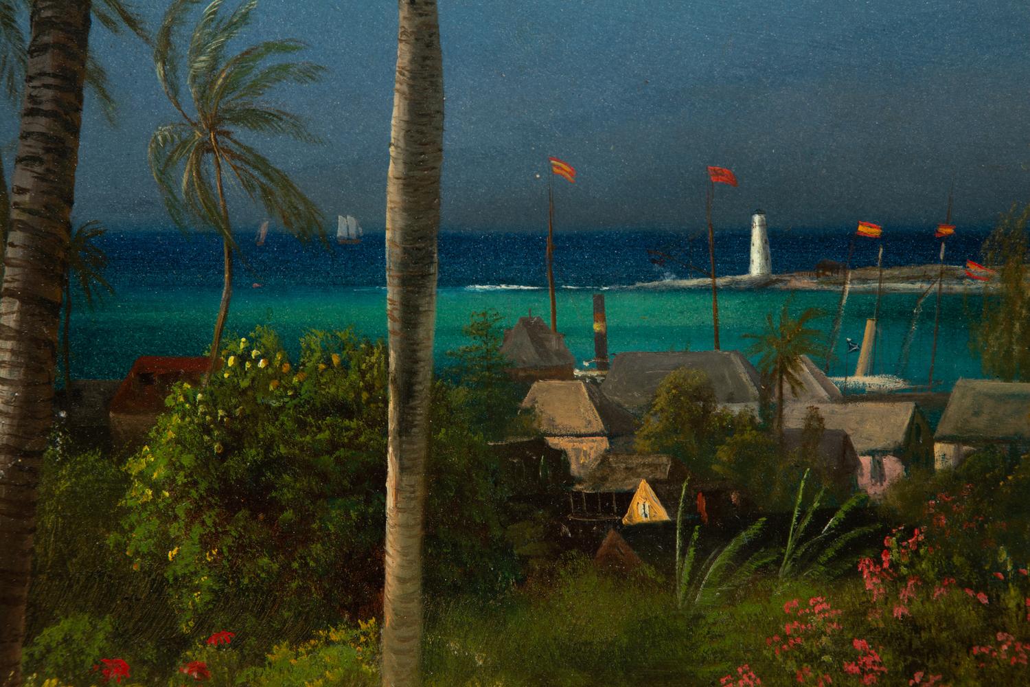 Bahamian View