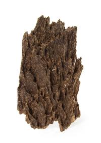 An Aloeswood Fragment Length of 7 1/2 inches.