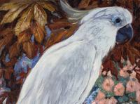 Cockatoo (Lotta)