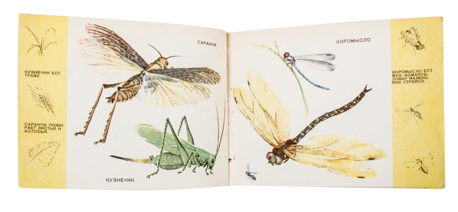 BLECK, A. AND LESNIK. Kto chto est, v vode [and] bzhuki i babochki. Leningrad, 1931. 2 vols.