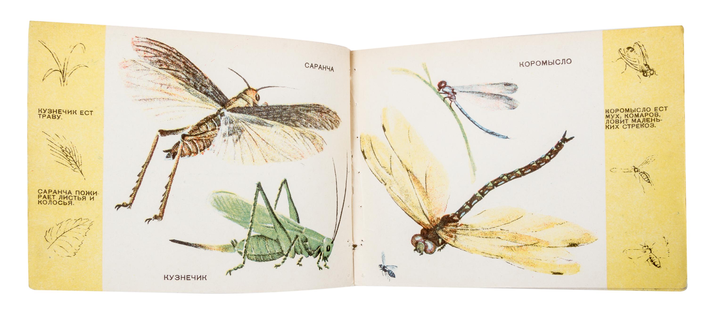 BLECK, A. AND LESNIK. Kto chto est, v vode [and] bzhuki i babochki. Leningrad, 1931. 2 vols.