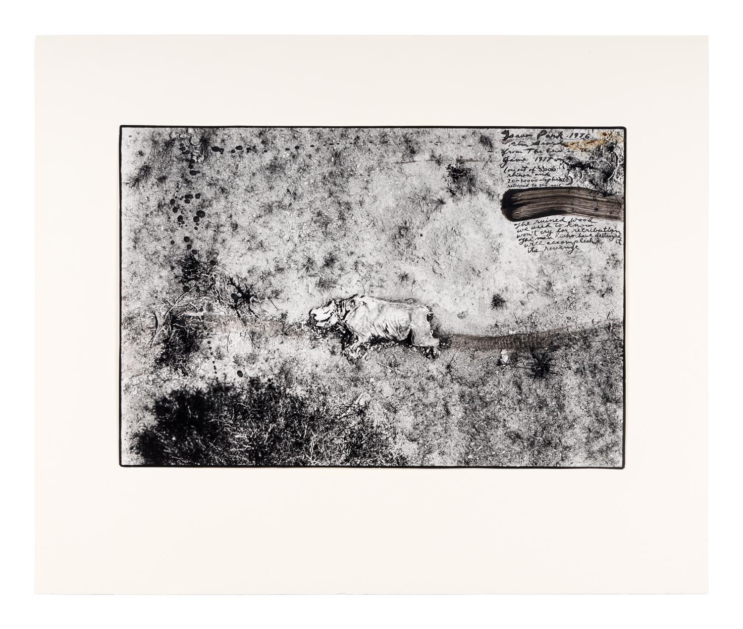 Tsavo Park (from "The End of the Game ), 1976-1977
