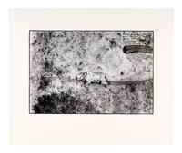 Tsavo Park (from "The End of the Game ), 1976-1977