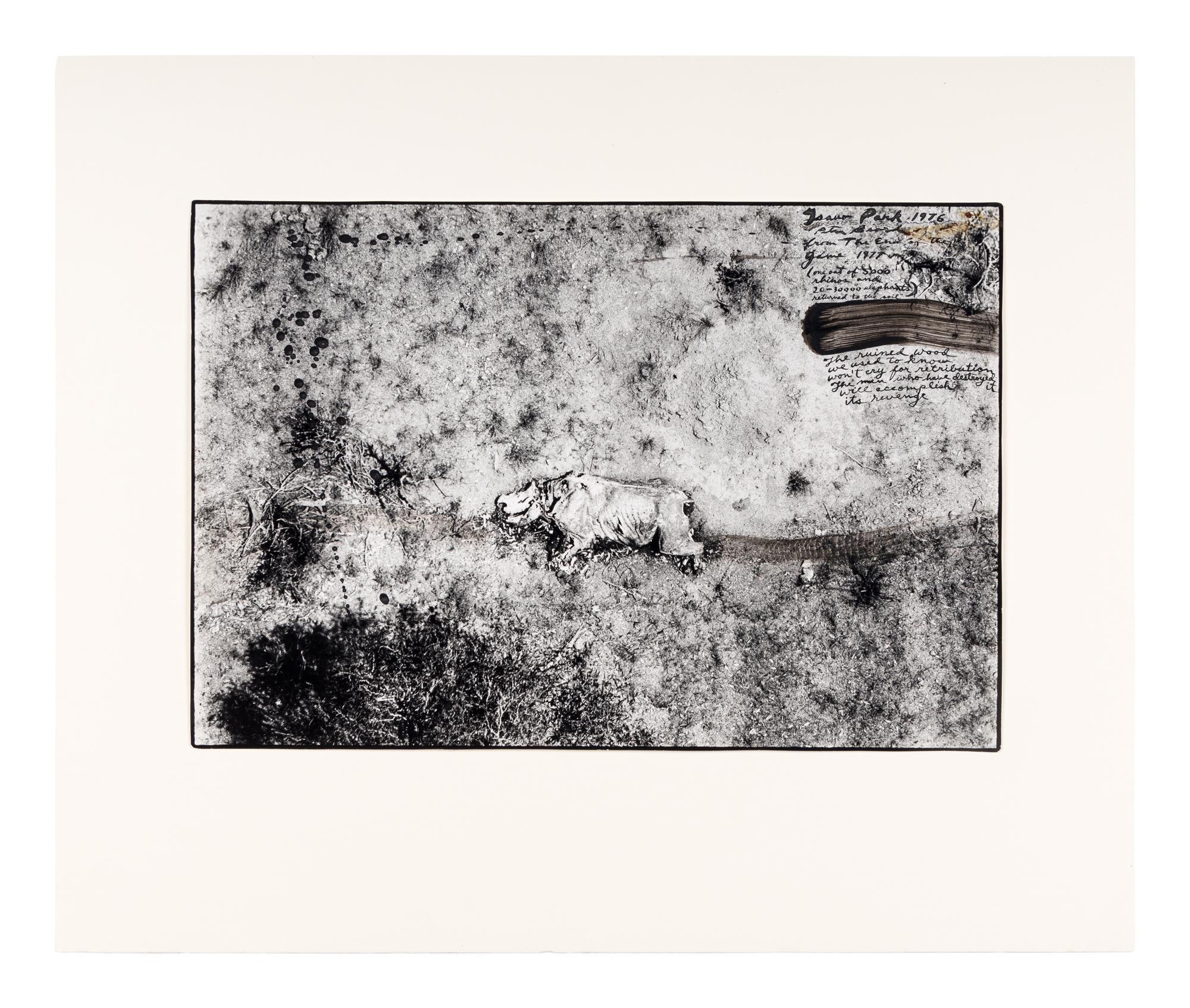 Tsavo Park (from "The End of the Game ), 1976-1977