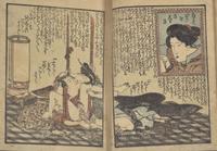 Ten Japanese Shunga Albums, 19th to First Half 20th century
