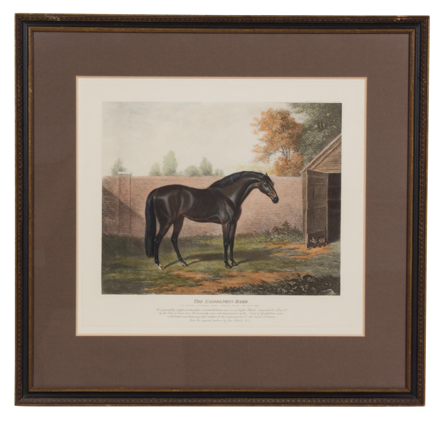 A Collection of Nine Decorative Etchings Largest framed dimensions 23 x 24 inches. — 19TH/20TH CENTURY