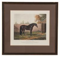 A Collection of Nine Decorative Etchings Largest framed dimensions 23 x 24 inches. — 19TH/20TH CENTURY