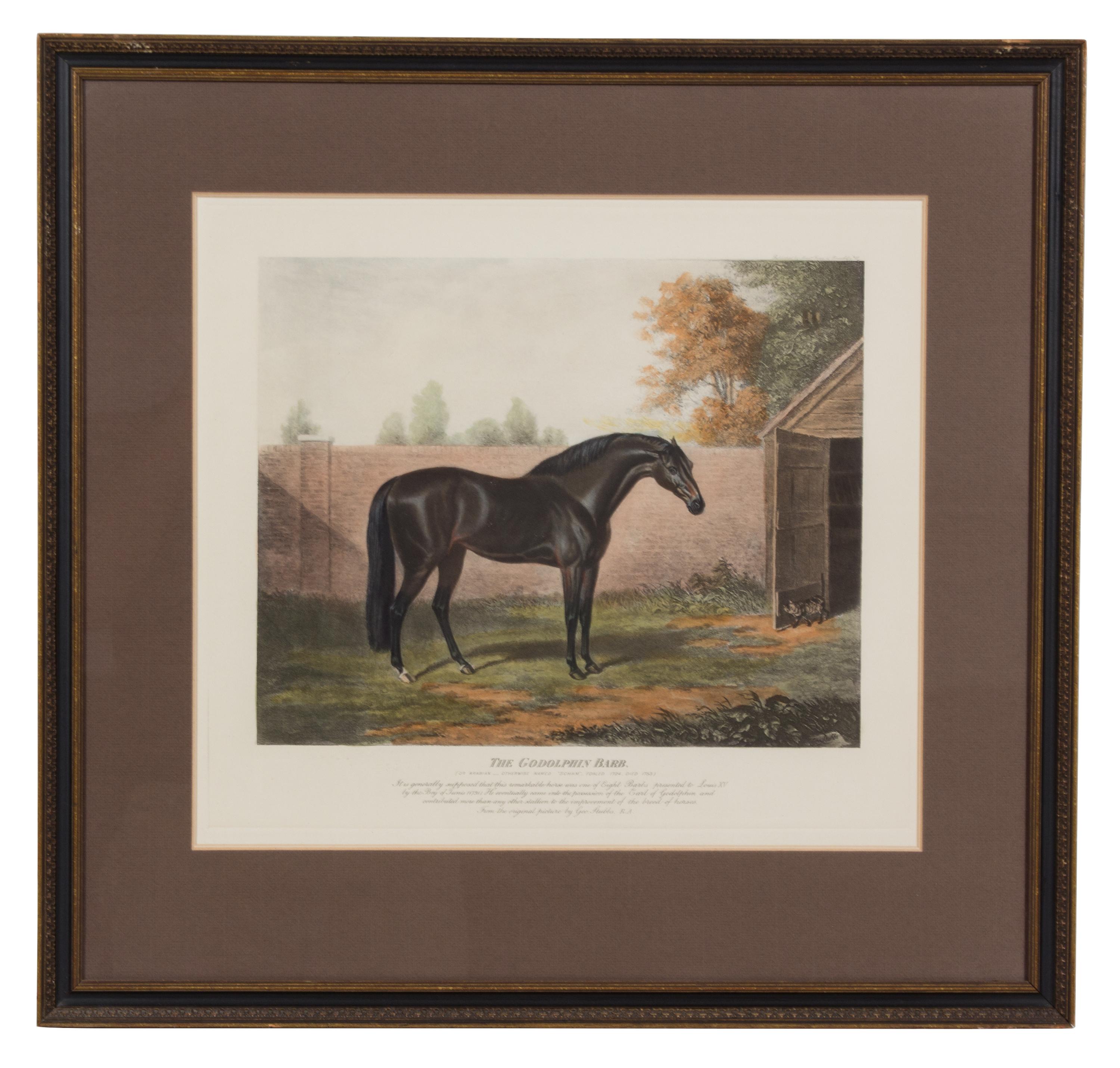 A Collection of Nine Decorative Etchings Largest framed dimensions 23 x 24 inches. — 19TH/20TH CENTURY