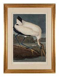 AUDUBON, John James (1785-1851)