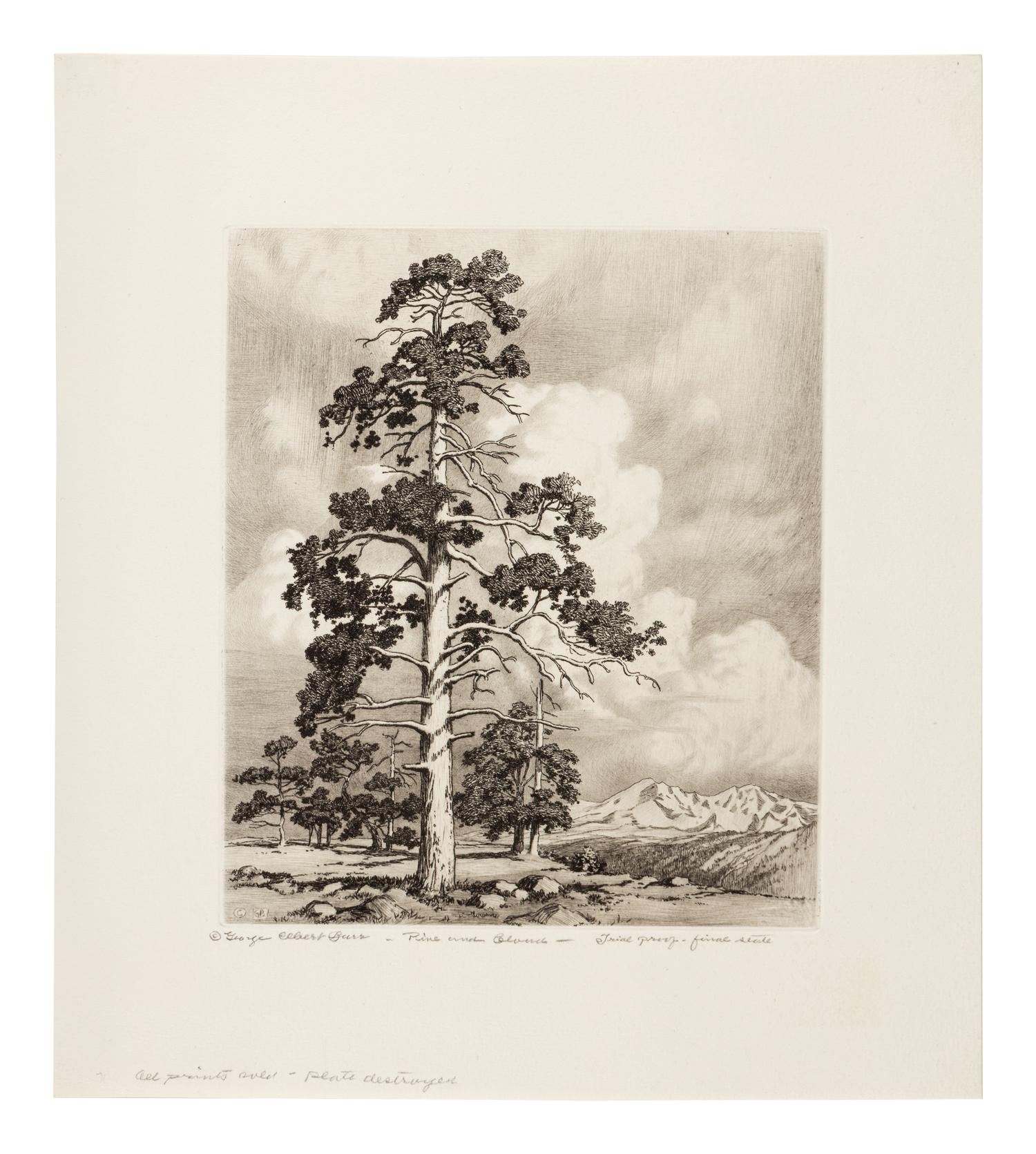 Two Works: Pine and Clouds and Hassayampa River- Arizona
