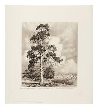 Two Works: Pine and Clouds and Hassayampa River- Arizona