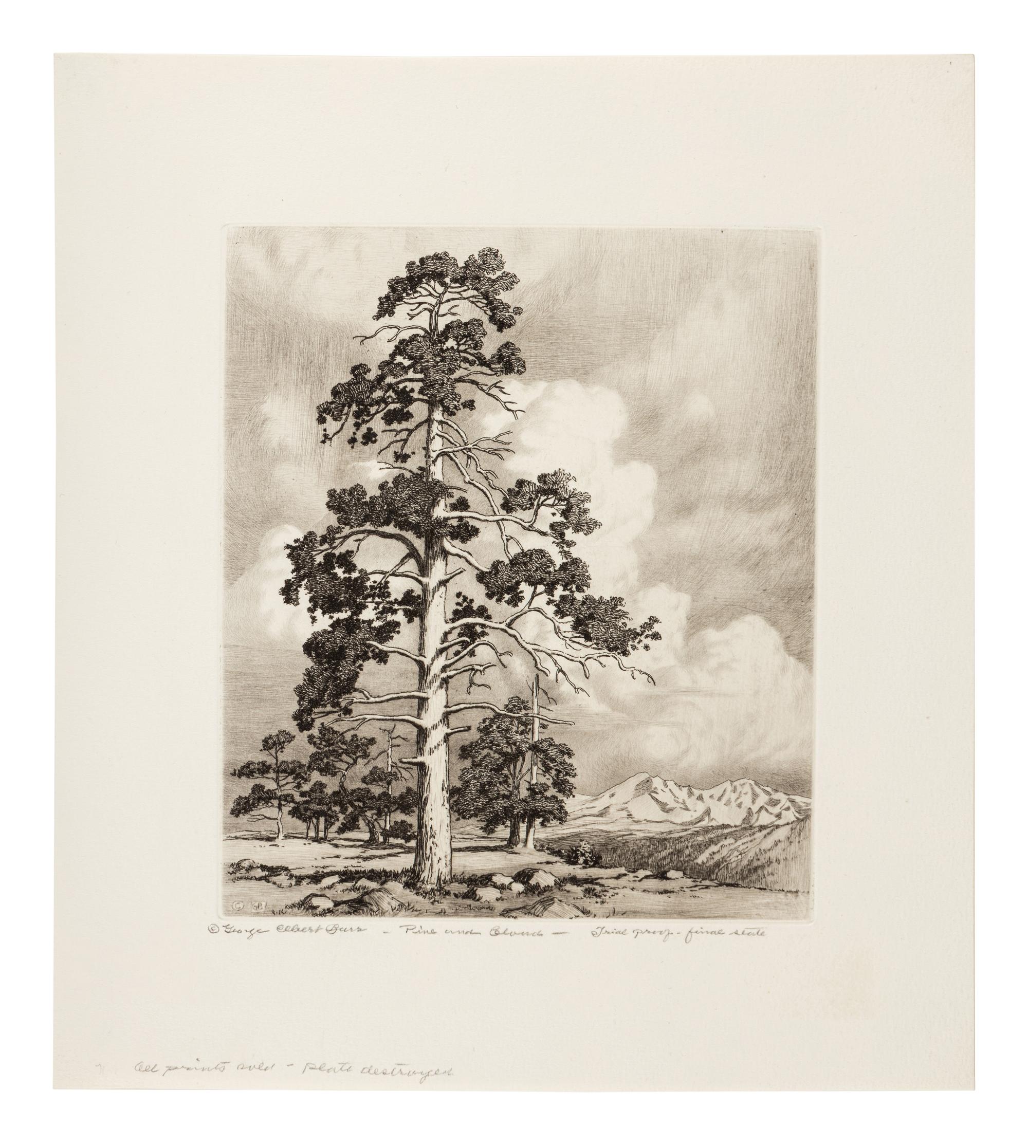 Two Works: Pine and Clouds and Hassayampa River- Arizona