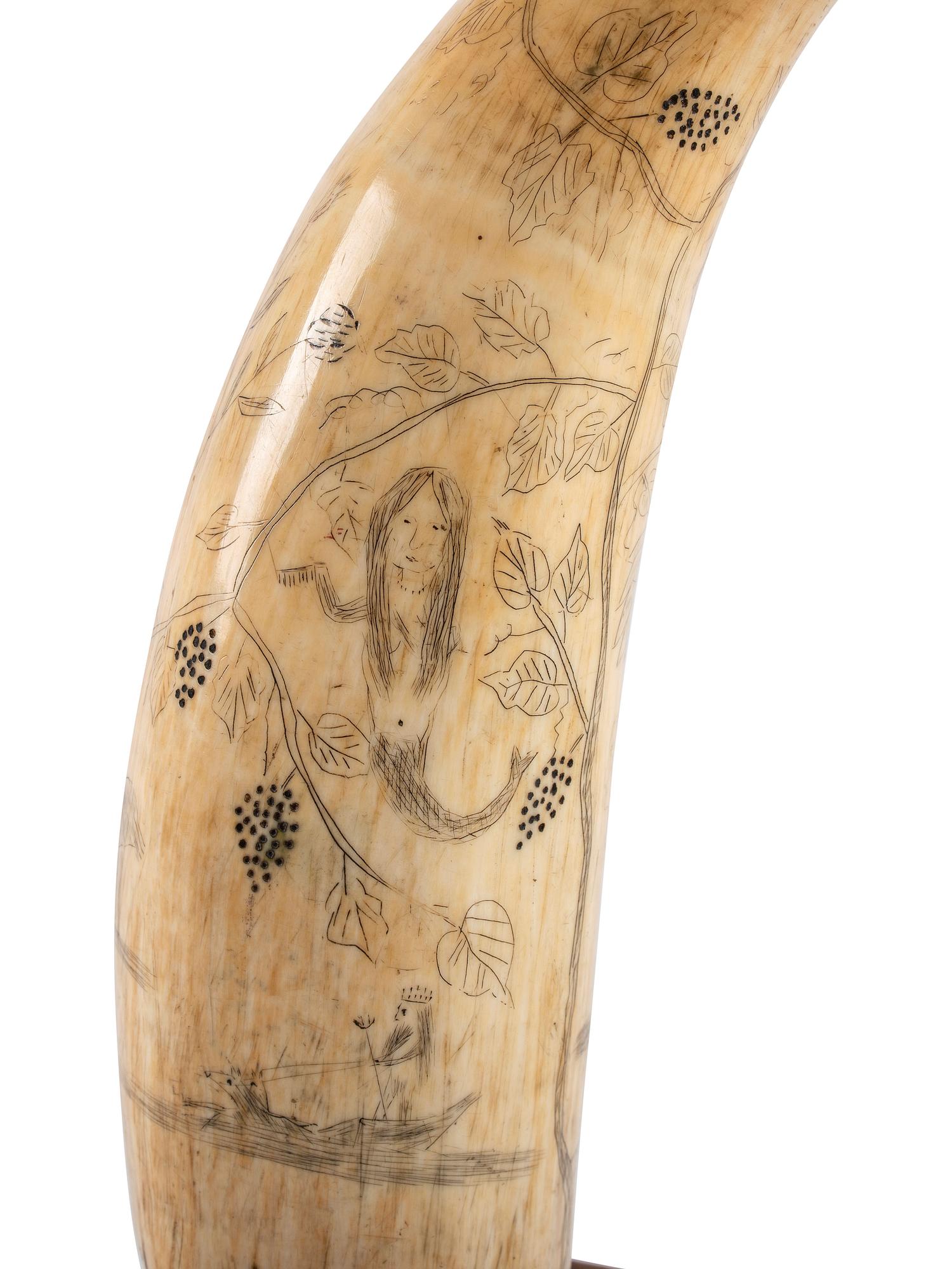 A Scrimshaw Whale's Tooth