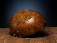 Eastern Great Lakes Burl Bowl