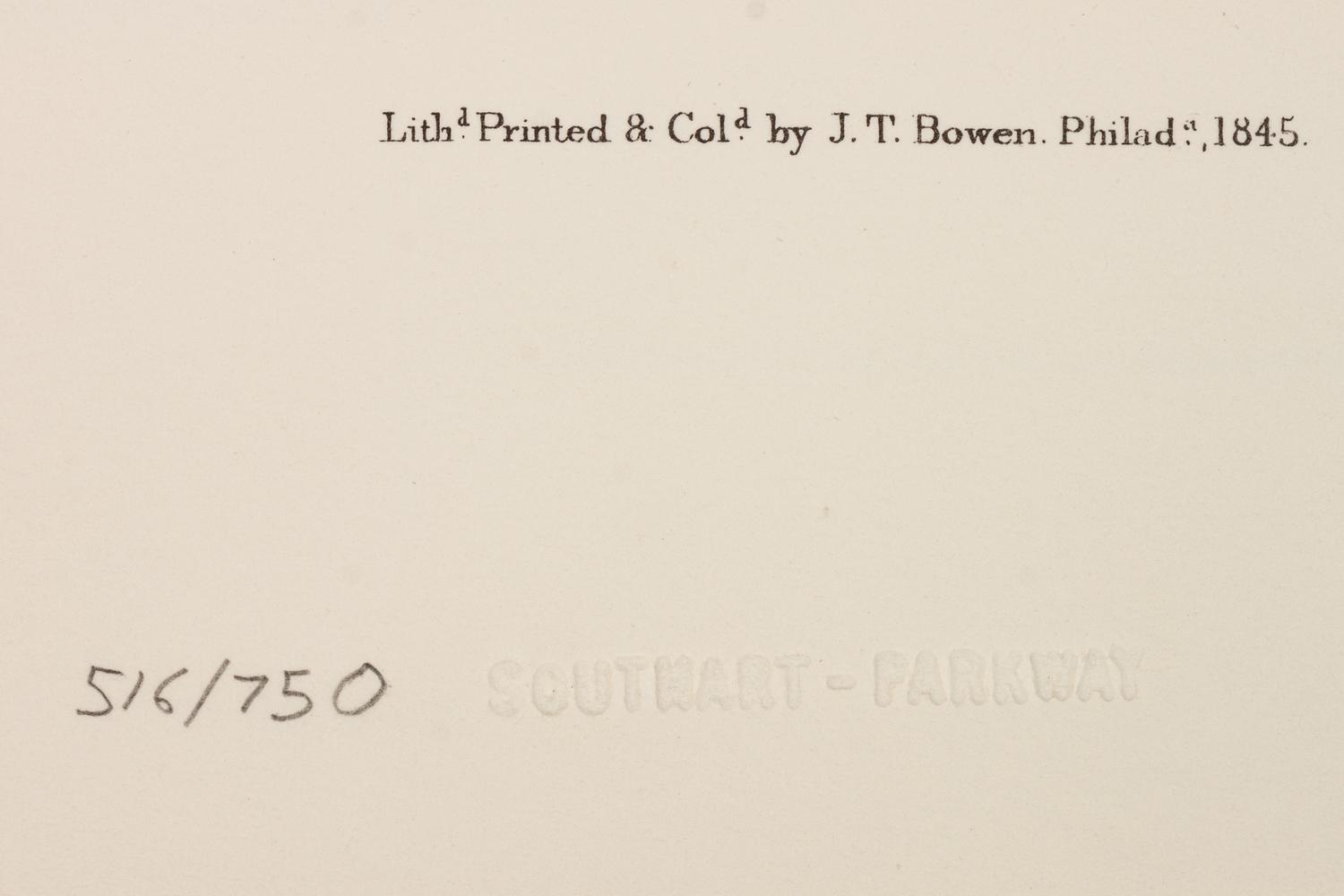 Southart Parkway's Limited Edition Facsimiles from Viviparous Quadrupeds of North America; Set Two: Audubon Mammals of the Southeast