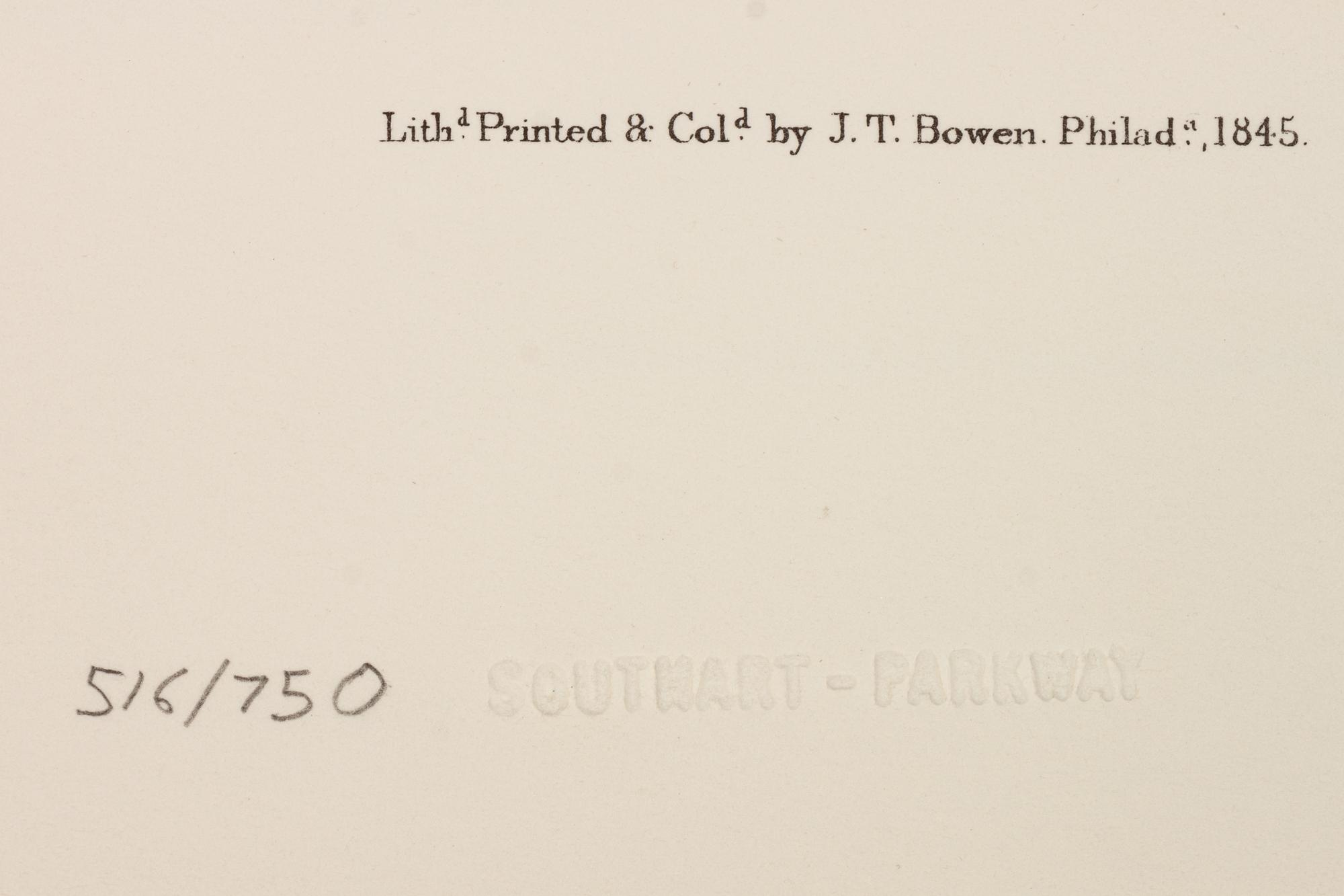 Southart Parkway's Limited Edition Facsimiles from Viviparous Quadrupeds of North America; Set Two: Audubon Mammals of the Southeast