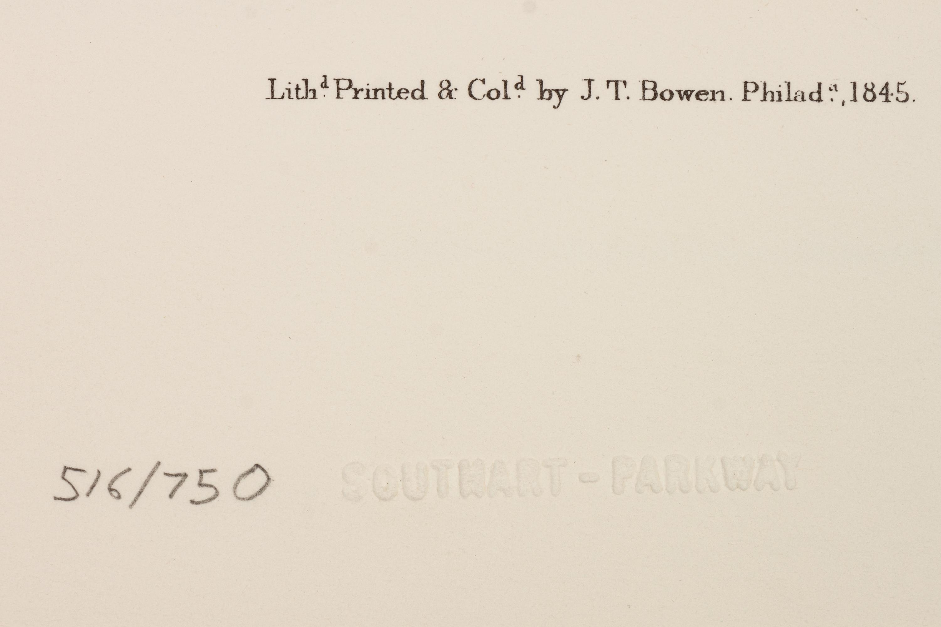 Southart Parkway's Limited Edition Facsimiles from Viviparous Quadrupeds of North America; Set Two: Audubon Mammals of the Southeast