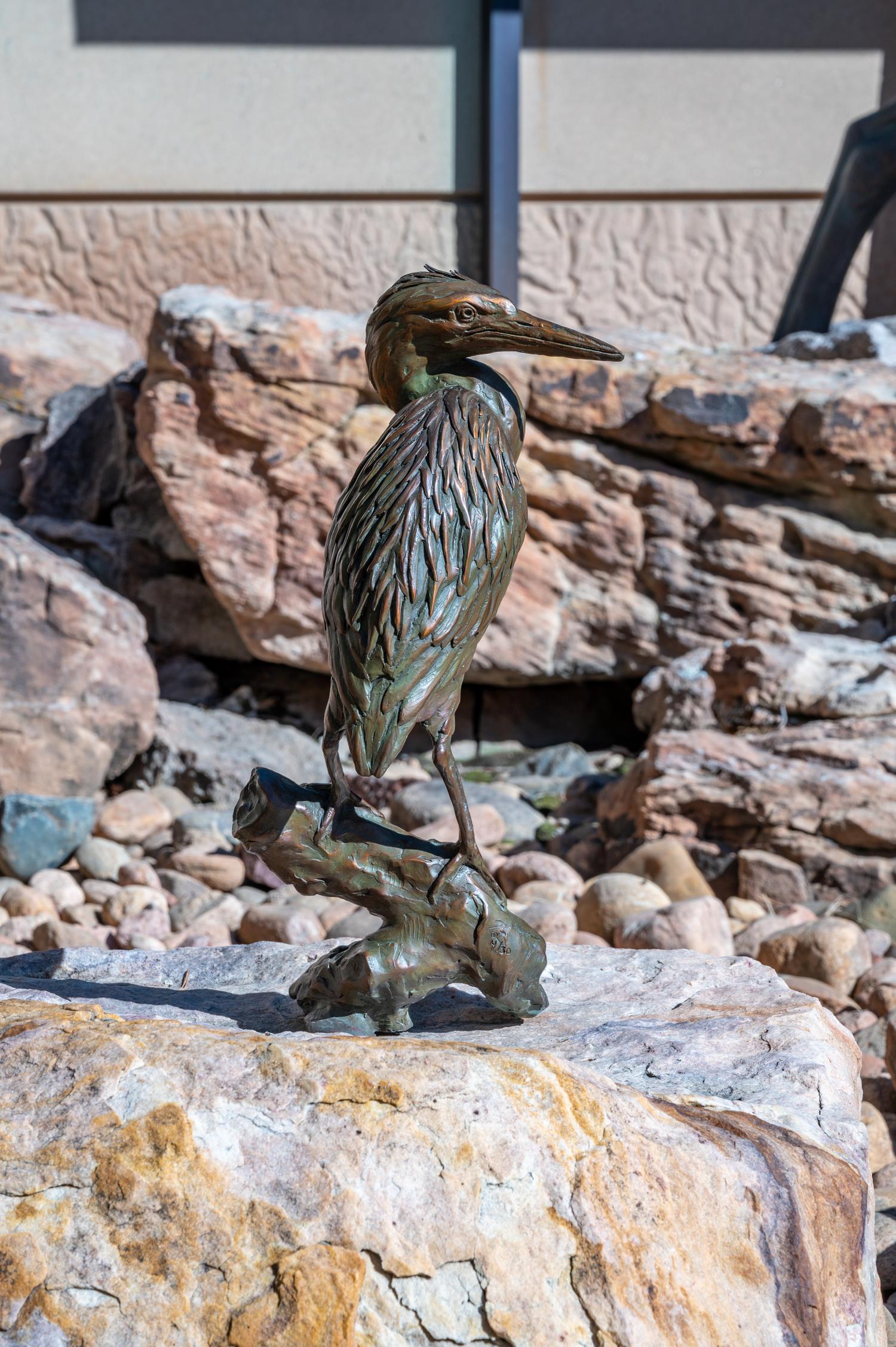 Green Heron , edition 4/30