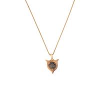 Silver Coin and Yellow Gold Necklace and Earring
