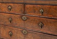 A William and Mary Burl Walnut Chest of Drawers