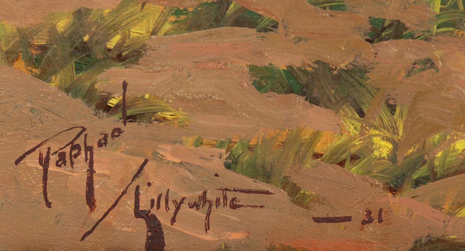 Mountain Scene