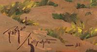 Mountain Scene