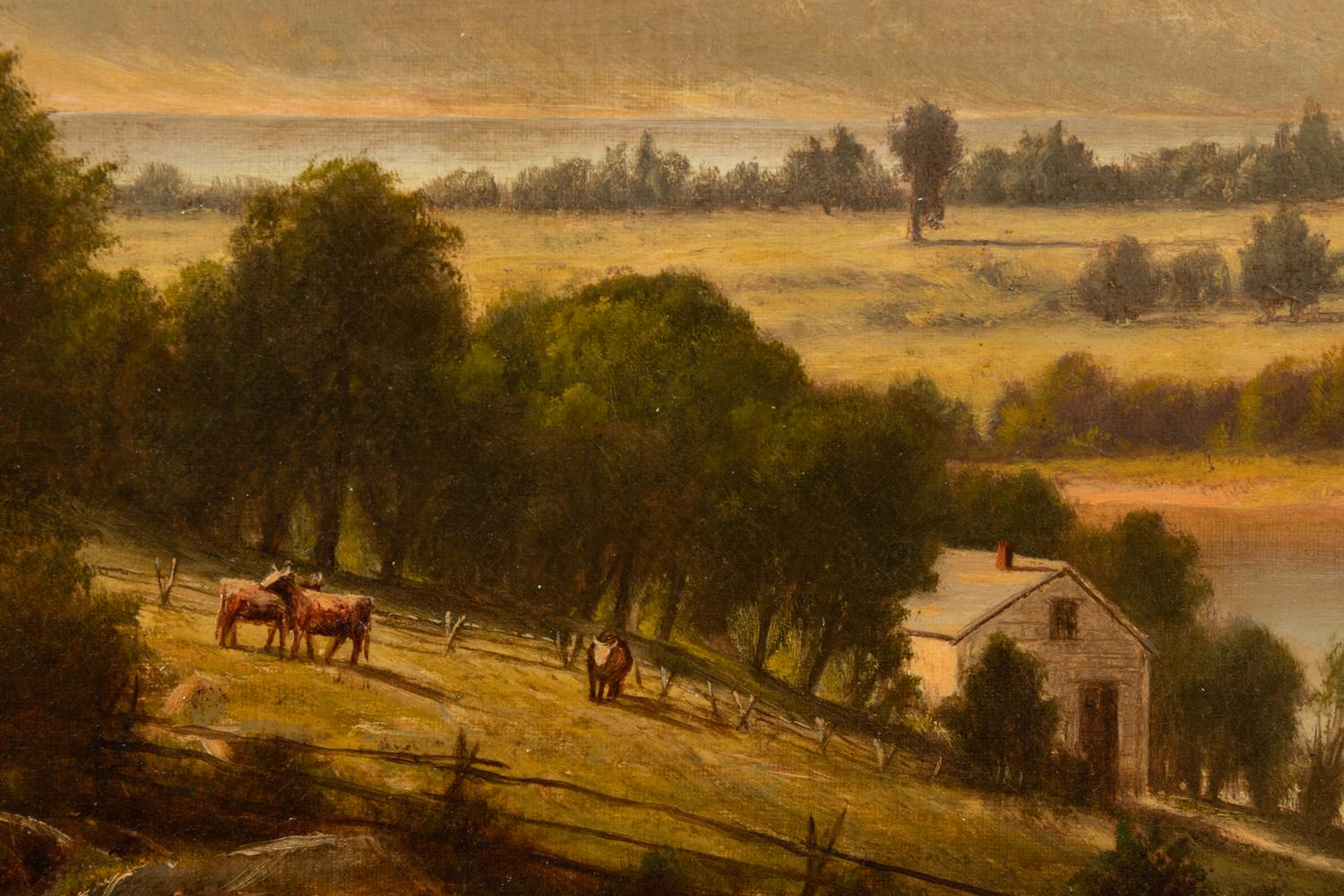 Morning in the Valley