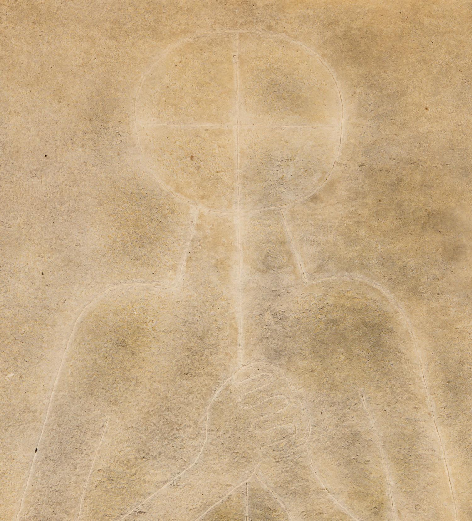 Torso Blanco