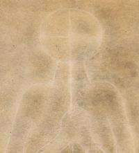 Torso Blanco