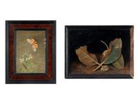 Magnolia Leaves and Shell and Tiger Moth and Nettle (two works), 1971